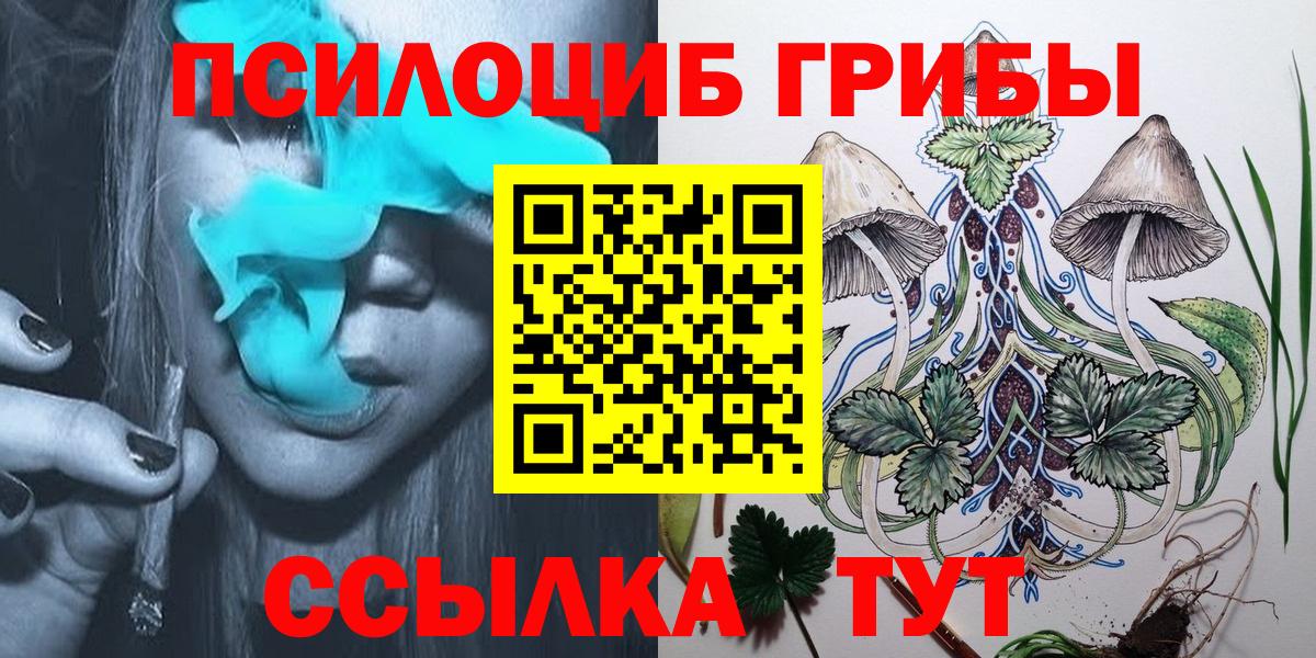 Курчатов  Галлюциногенные грибы ЛСД  Вход с VPN  Галлюциногенные грибы мицелий 