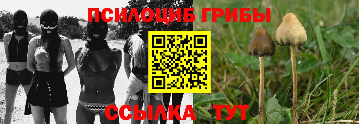 Псилоцибиновые грибы GOLDEN TEACHER Курчатов