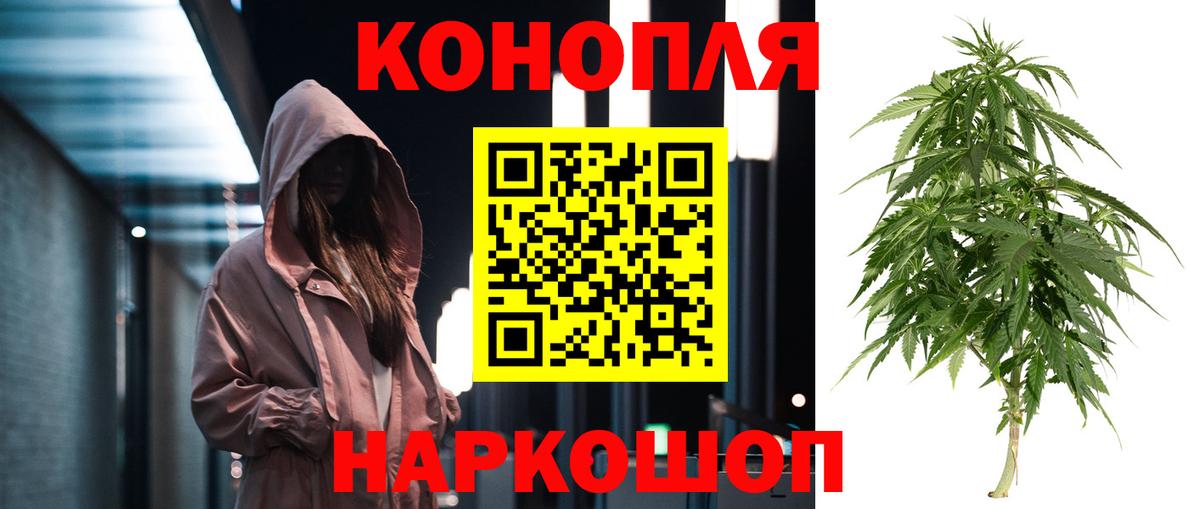 Канабис планчик Курчатов